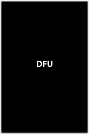 Вход/ Выход из режима DFU на iPhone