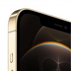 Apple iPhone 12 Pro Max 256Gb Gold (Золото)