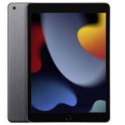 Apple iPad 10,2" (2021) Wi-Fi + Cellular 256 ГБ, Space Gray  (Cерый космос)